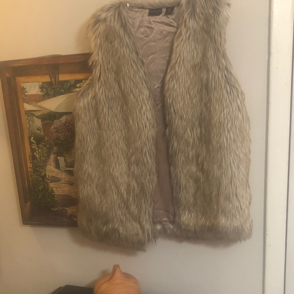 Rachel Zoe Plush Faux Fur Vest in Light Taupe